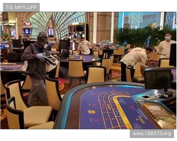 全面解析澳门网络娱乐产业的发展现状与未来趋势
